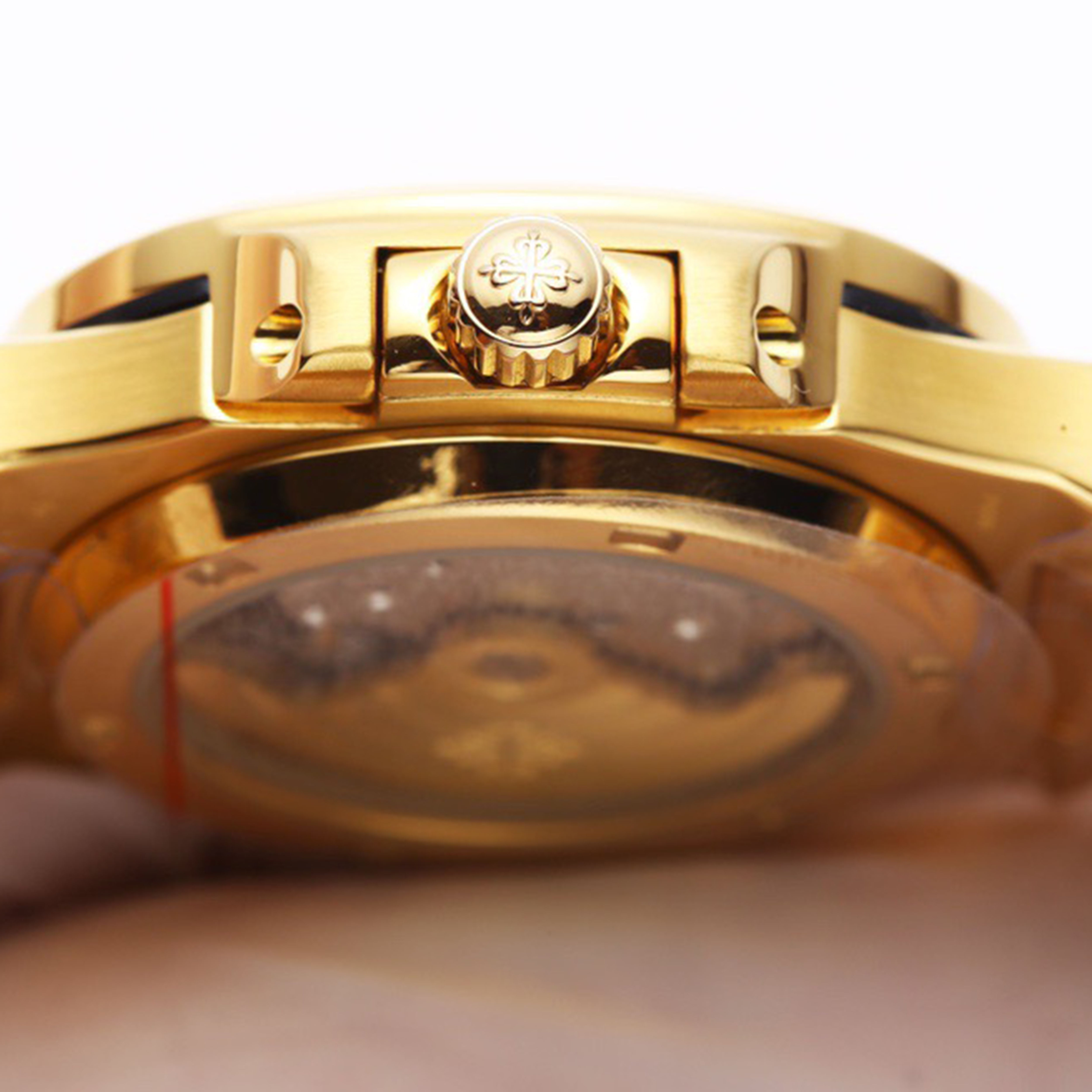 Philippe - Popular Parrot Series Men's Watch