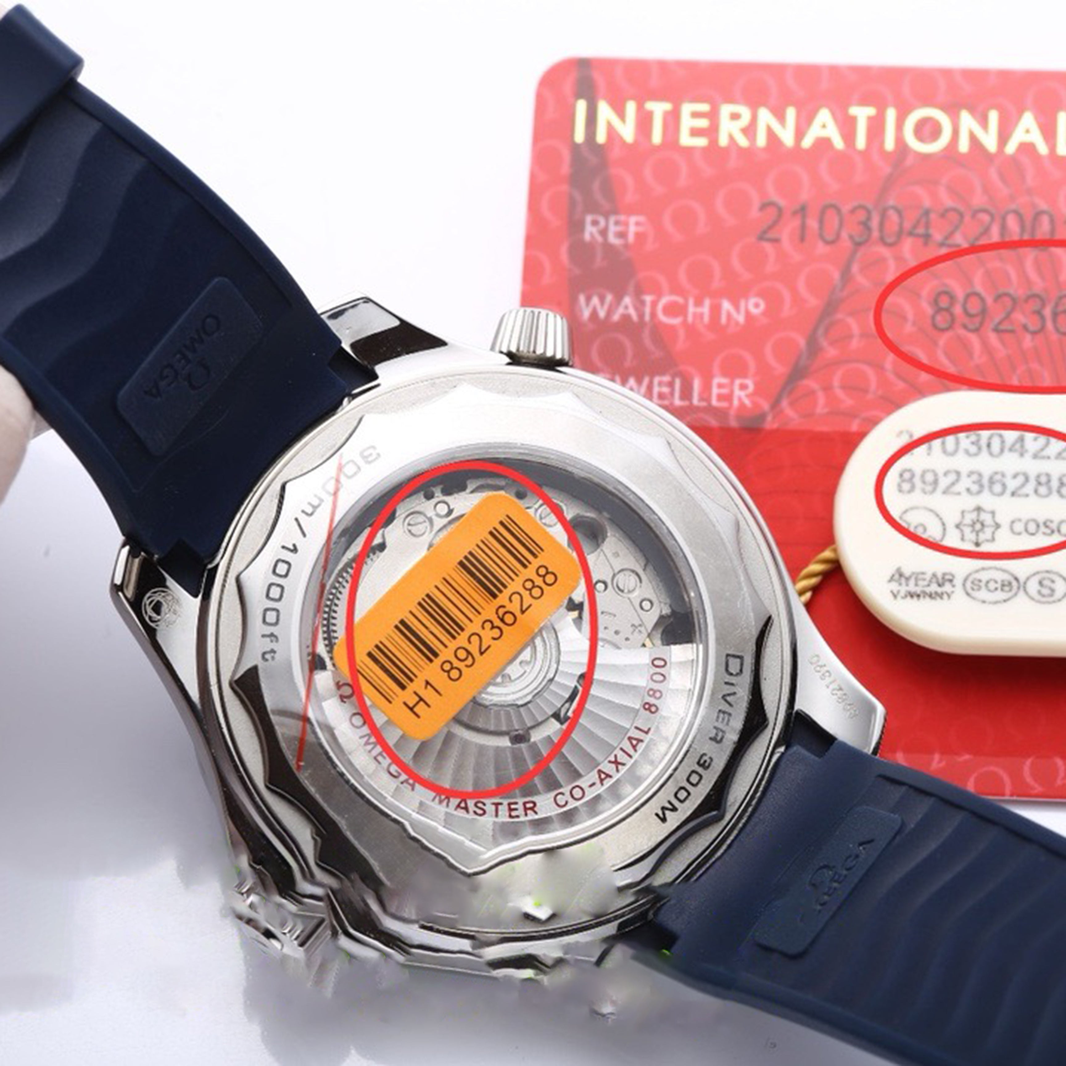 Seamaster 300M Diver's Watch 42MM