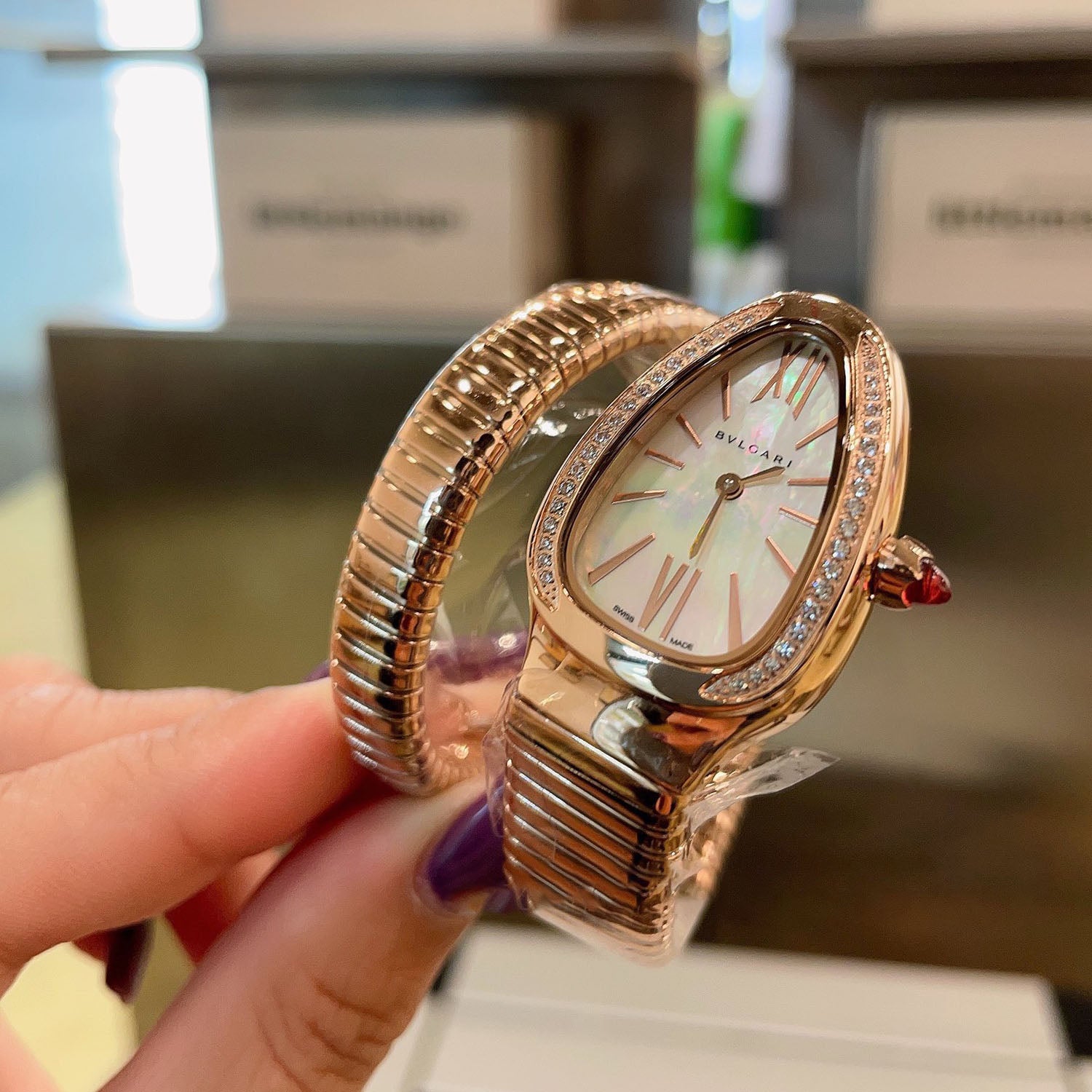 Serpenti Classic Evolution Collection