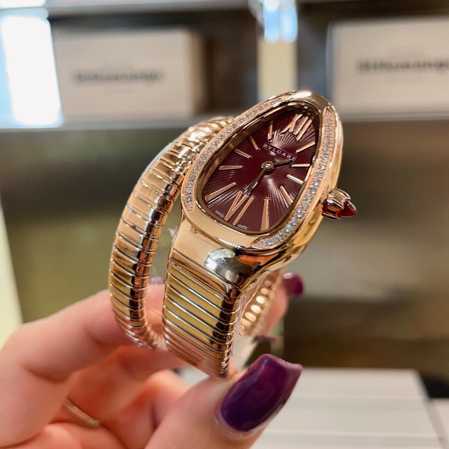 Serpenti Classic Evolution Collection